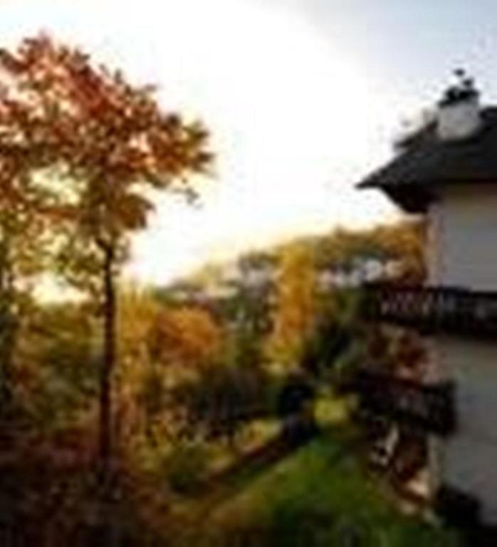 Hotel Du Lac 몽트랑블랑 객실 사진